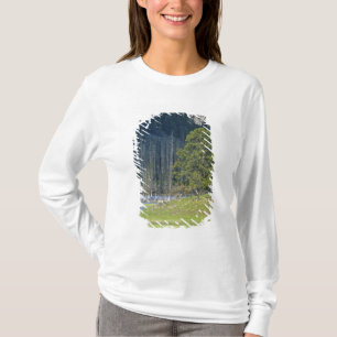 T-shirt Bison avec le veau au parc national Yellowstone