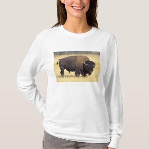 T-shirt Bison Bull à Yellowstone National