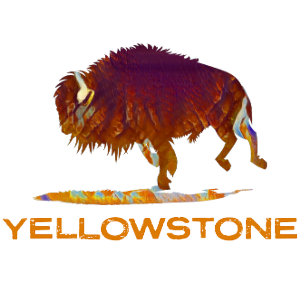 T-shirt Bison de Yellowstone