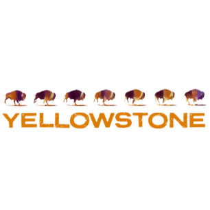T-shirt Bison de Yellowstone coule