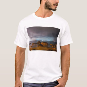 T-shirt Bleus de ville de Chiba