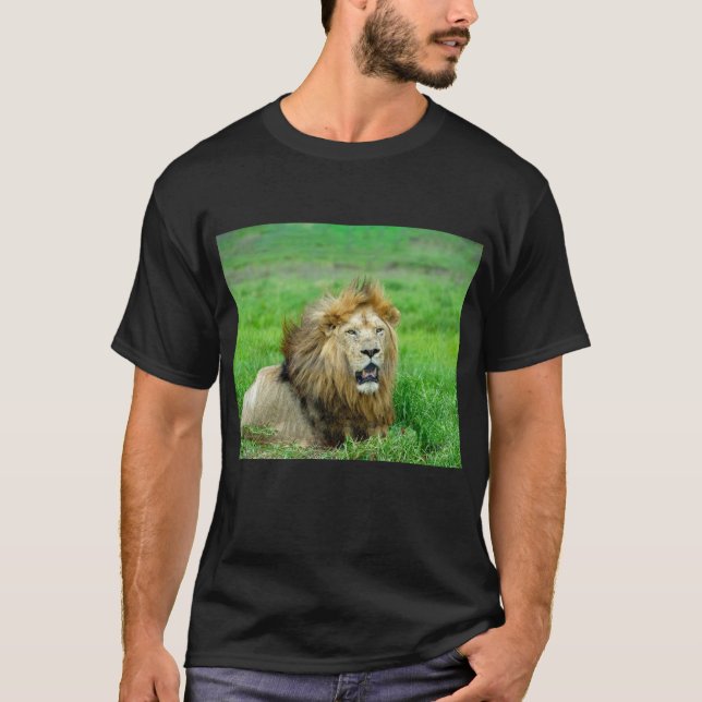 T-shirt "Blissful Lion Rest Tee" (Devant)