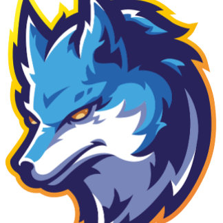 T-shirt Blue silver fox