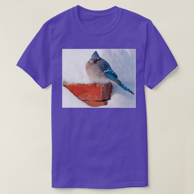 T-shirt Bluejay Dans Le Triblend De Neige (Design devant)