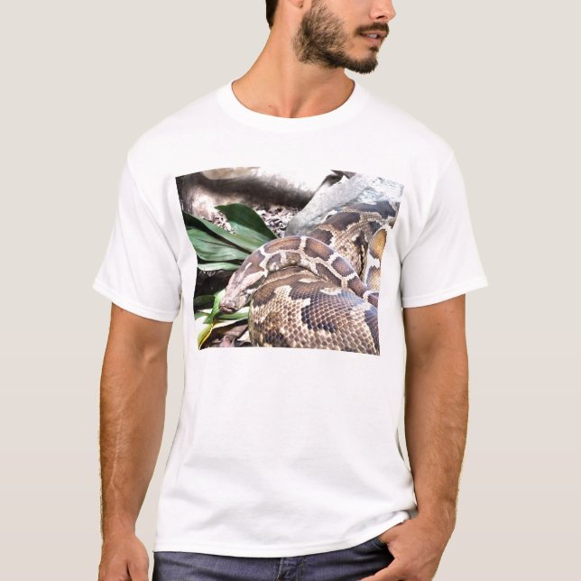 T-shirt Boa constrictor (Devant)