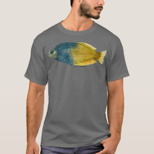 T-shirt Boesemani Rainbowfish