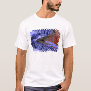T-shirt Bond Falls; reflets de feuilles colorées par l'aut