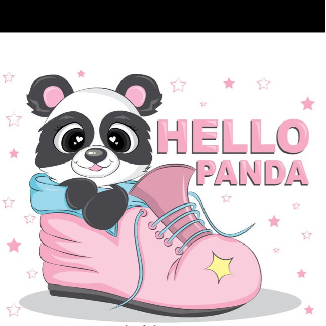 T-Shirt Bonjour Panda (Illustration of a cartoon panda bear sitting inside a pink shoe with blue trim and laces!)