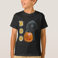 Boo de caniche (revêtement noir)