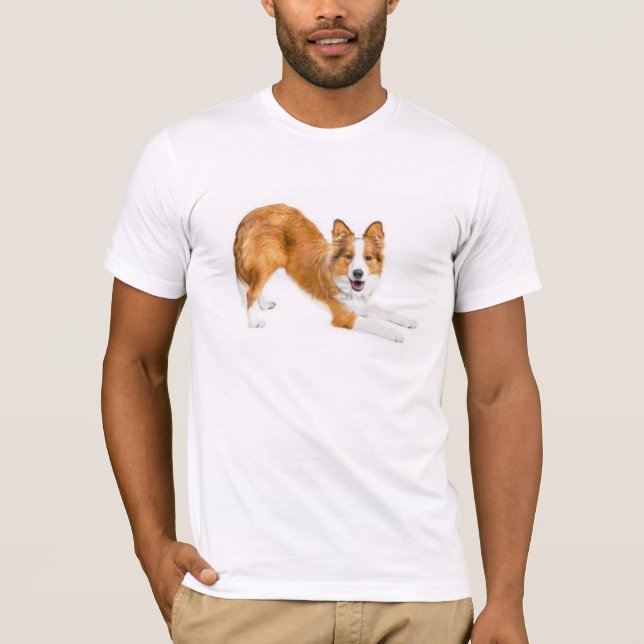 T-shirt Border collie Red~Tee d'or (Devant)