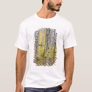 T-shirt bosquet de trembles en couleur d'automne maximale 