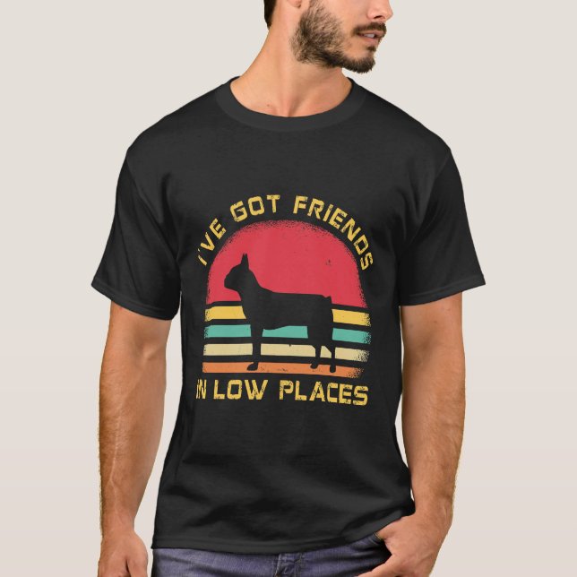 T-shirt Boston Terrier Funny Pour Boston Terrier Retro (Devant)