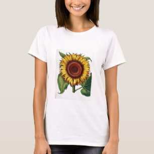T-shirt Botanique vintage - tournesol,