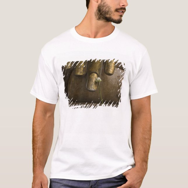 T-shirt Bouddha à Wat Si Chum. (Devant)