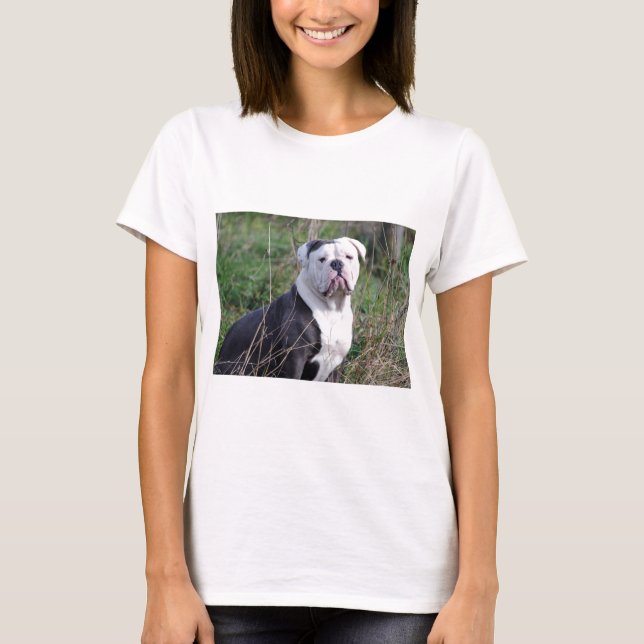 T-shirt Bouledogue anglais (Devant)
