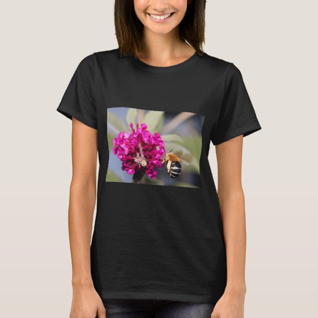 T-shirt Bourdon à bandes bleues (Devant)