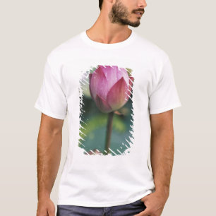 T-shirt Bourgeon de fleur de lotus, Hangzhou, province de