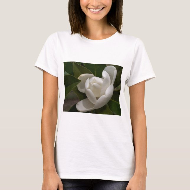 T-shirt bourgeon de fleur de magnolia du sud blanc (Devant)