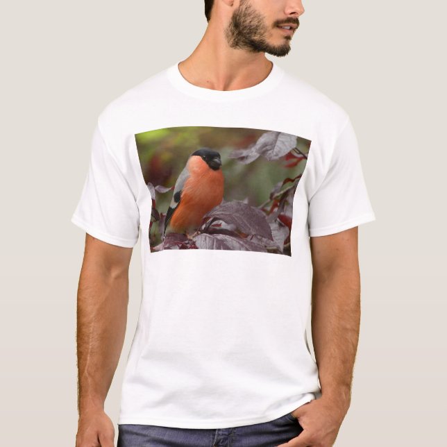 T-shirt Bouvreuil pivoine (Devant)