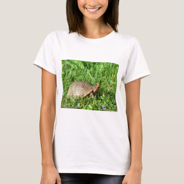 T-shirt Box Turtle (Devant)