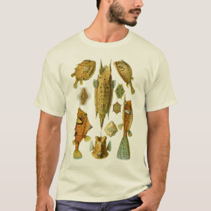 T-shirt Boxfish ou Cowfish