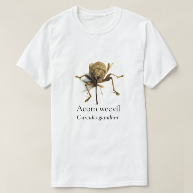 T-shirt BOYB Acorn Weharm (Design devant)