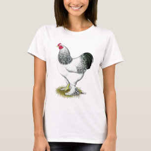 T-shirt Brahma : Rooster léger