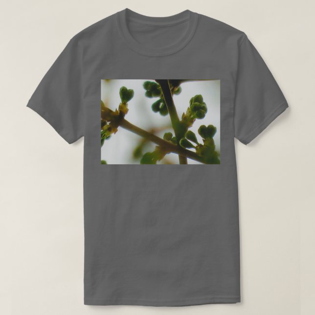 T-shirt Branches bourgeonnantes de prune avec bourgeons en (Design devant)