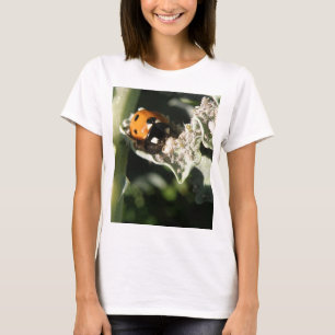T-shirt British 7 Spot Ladybug Ladies T Shirt