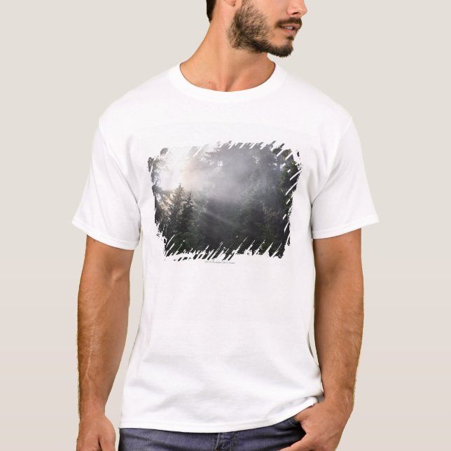 T-shirt Brouillard et faisceaux de Sun dans une forêt de (Devant)