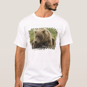 T-shirt Brown bear ou Coastal Grizzly Bear, Ursus