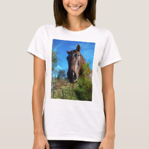 T-shirt Brown et crème Couleur Cheval bleu ciel