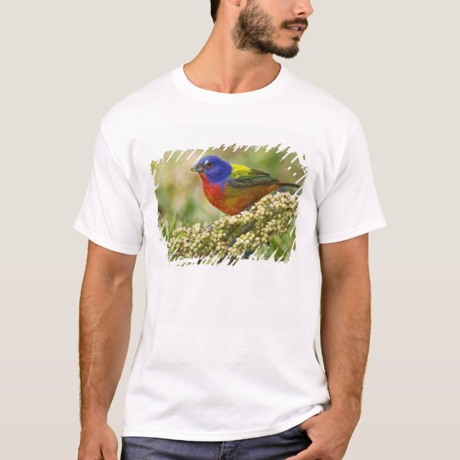 T-shirt Bruant à gorge rose (Devant)