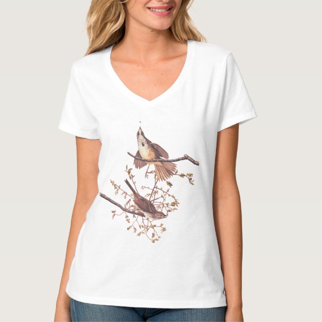 T-shirt Bruant de chanson Audubon avec araignée minuscule (Devant)