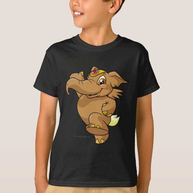 T-shirt Brun d'Elephante (Devant)