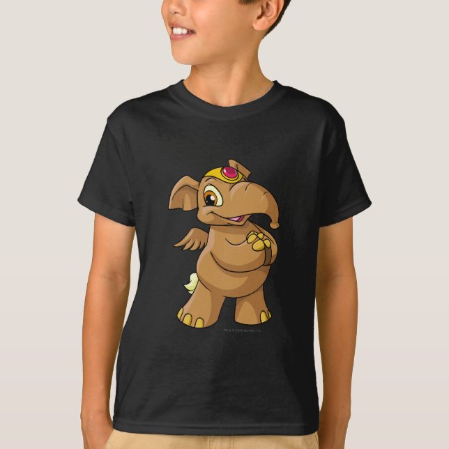 T-shirt Brun d'Elephante (Devant)