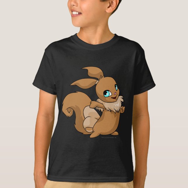 T-shirt Brun d'Usul (Devant)