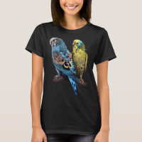 Budgie Budgies Budgerigar Parakeet Birdwatch