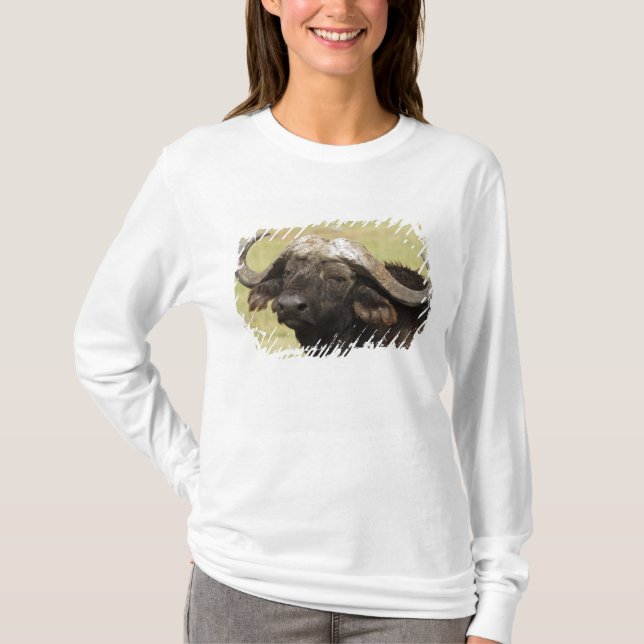 T-shirt Buffle d'Afrique, Syncerus caffer (Devant)