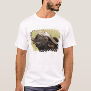 T-shirt Buffle d'Afrique, Syncerus caffer