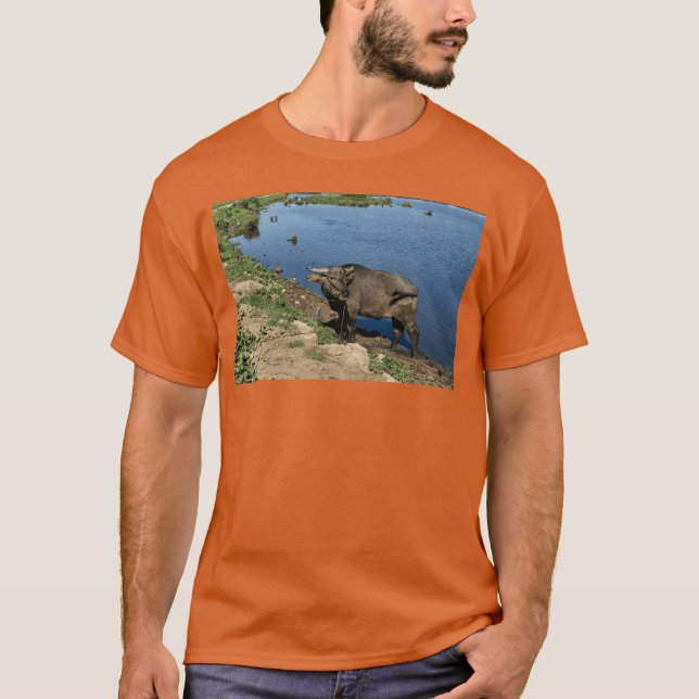 T-shirt Buffles authentiques du Vietnam et rizières (Devant)