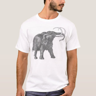 T-shirt bwh de mammouth laineux