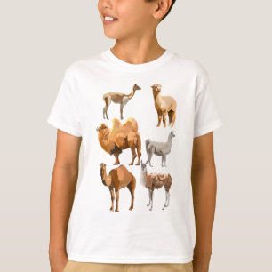 T-shirt C est pour Camelid