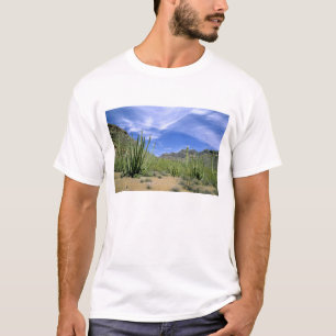 T-shirt Cactus du désert au Monument national de la Tuyère