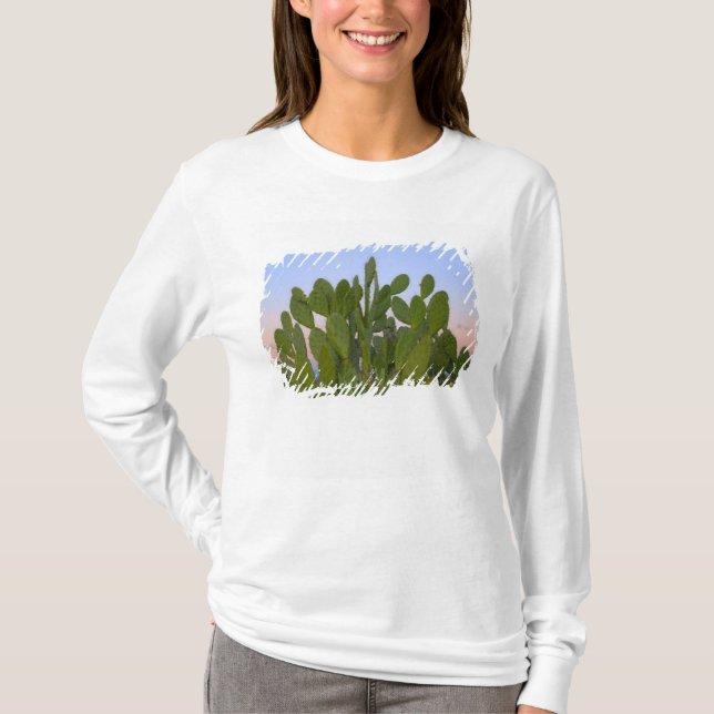 T-shirt Cactus et sisal en forêt sèche (Devant)