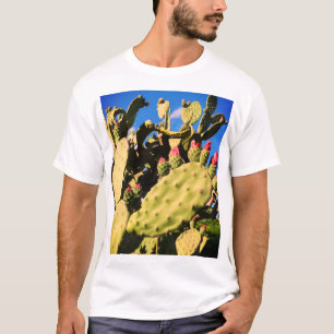 T-shirt Cactus saguaro, plantes cactus 