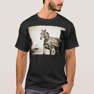 T-shirt Calèche et cheval amish sépia