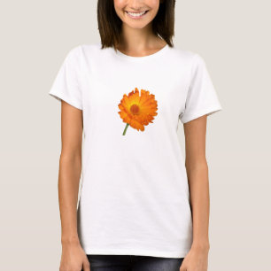 T-shirt - Calendula sur tige courte