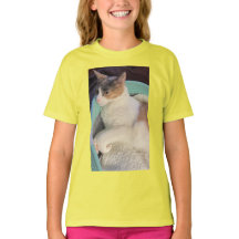 Calico Chat dans le lit de chat