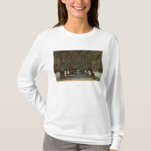 T-shirt CaliforniaGroves des arbres de poivre